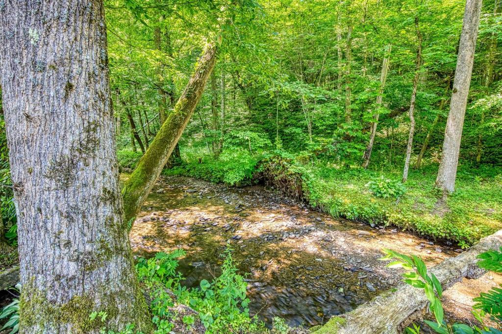 Black Bear Falls - With An In-Law Suite Gatlinburg Exterior photo
