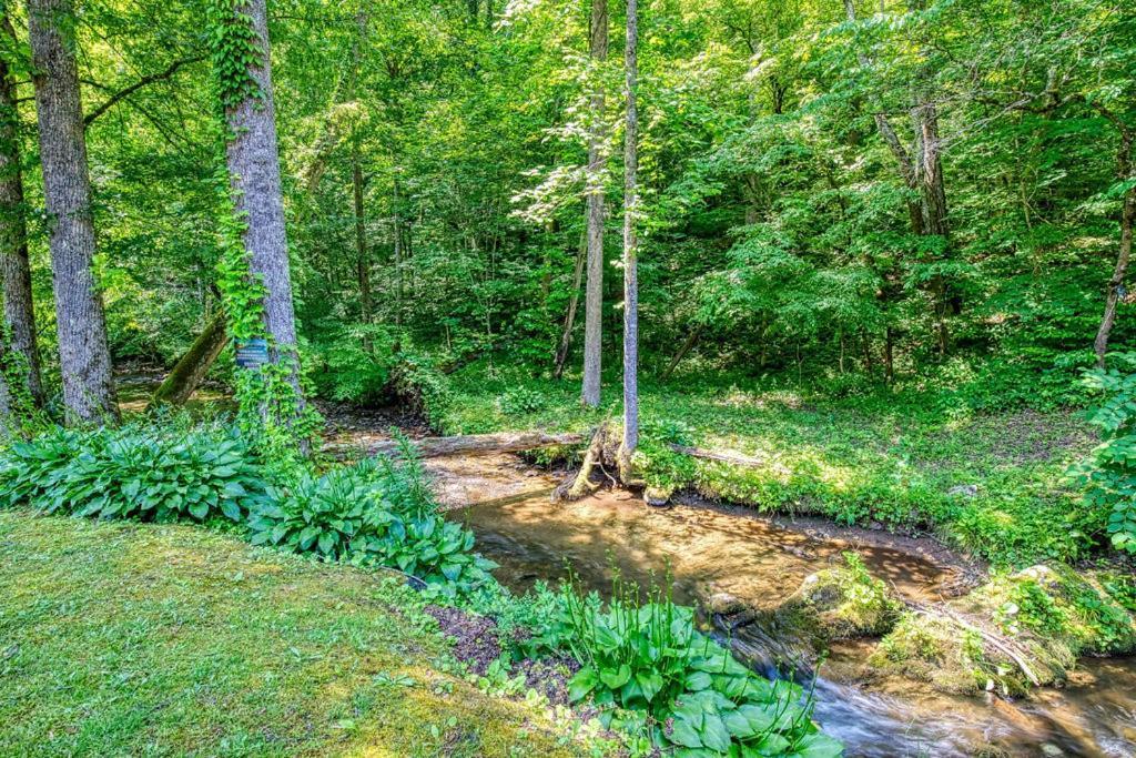 Black Bear Falls - With An In-Law Suite Gatlinburg Exterior photo